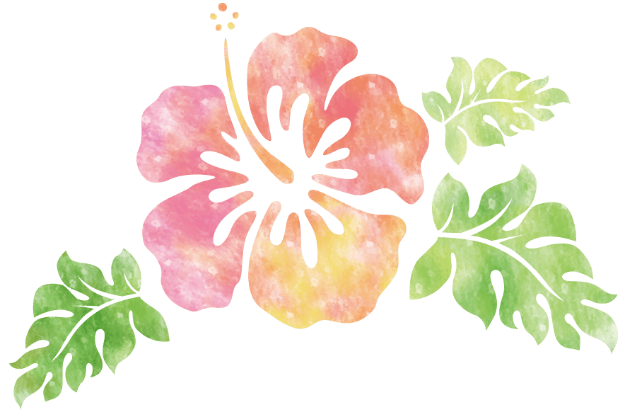 ハイビスカスイラスト